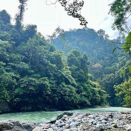 Hotel Charlys Little House Bukit Lawang Esterno foto