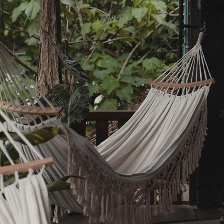 Hotel Charlys Little House Bukit Lawang Esterno foto