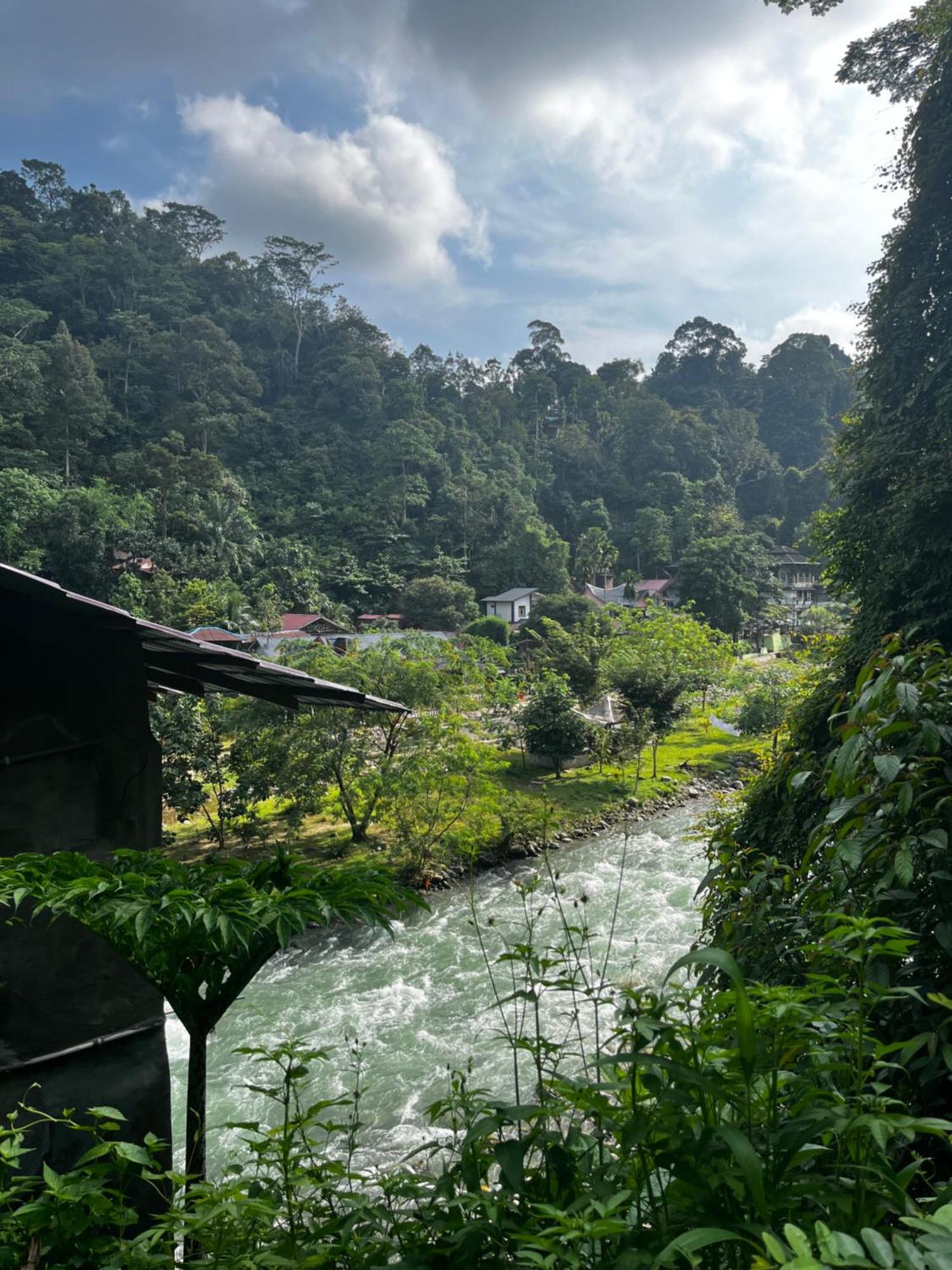 Hotel Charlys Little House Bukit Lawang Esterno foto