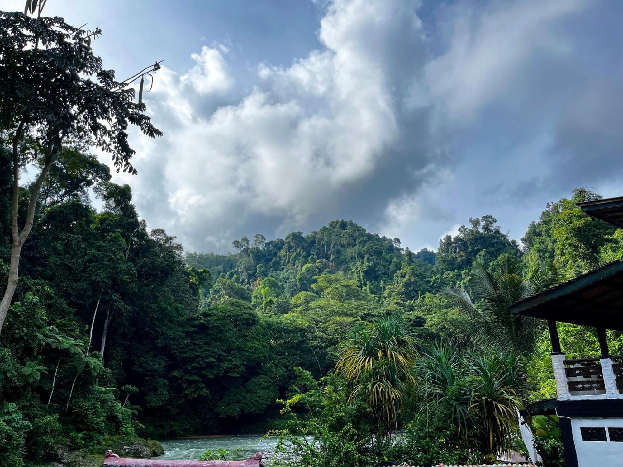 Hotel Charlys Little House Bukit Lawang Esterno foto