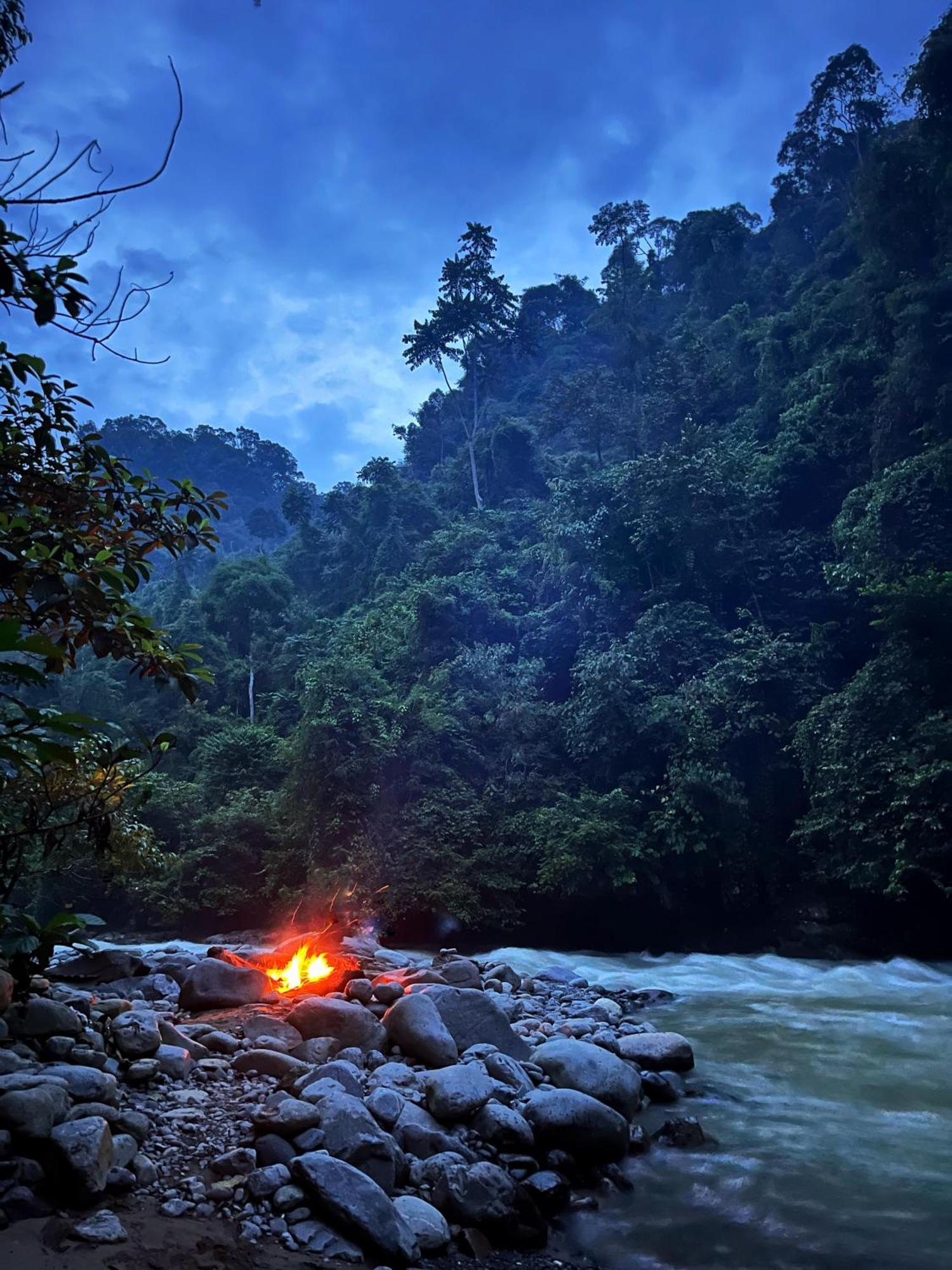 Hotel Charlys Little House Bukit Lawang Esterno foto