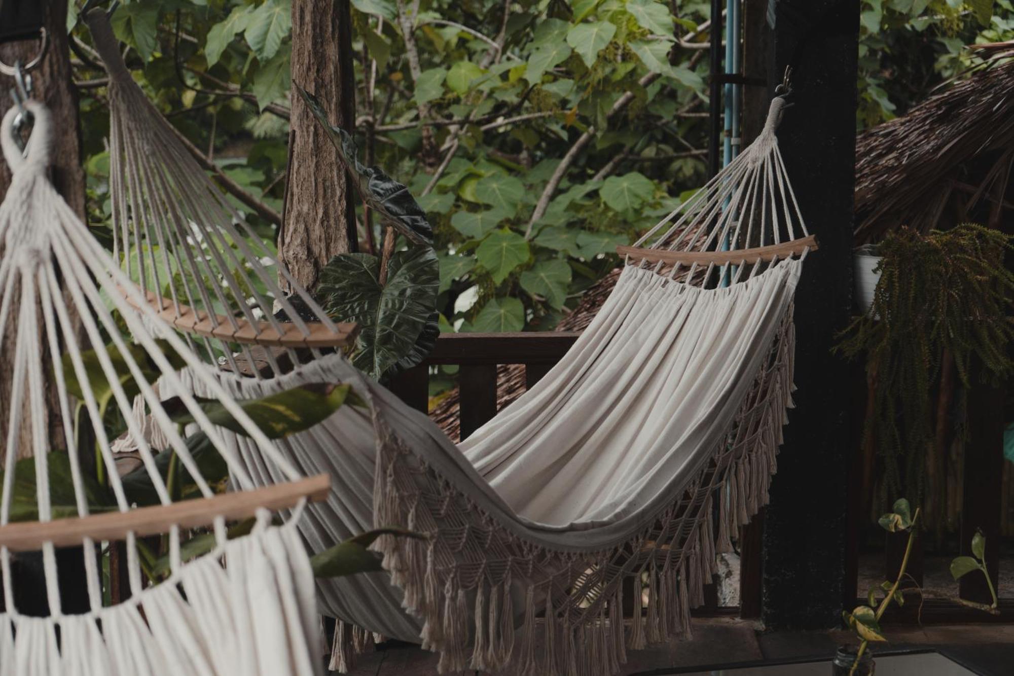 Hotel Charlys Little House Bukit Lawang Esterno foto