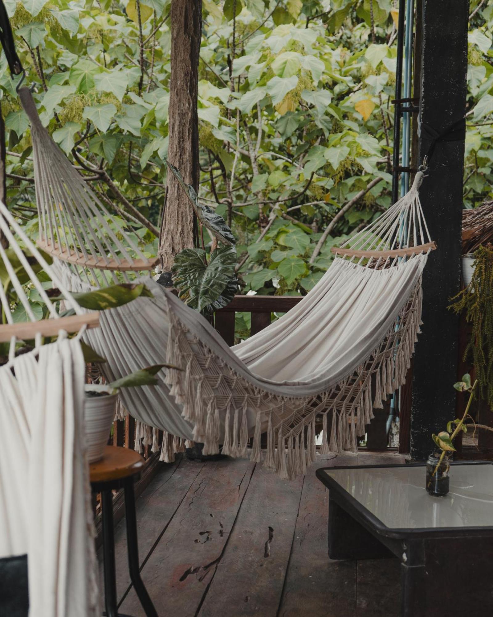 Hotel Charlys Little House Bukit Lawang Esterno foto